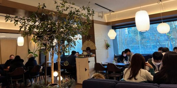 Korean Saju Cafe